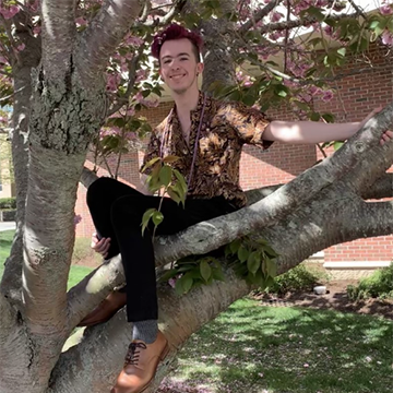 Kieran Binney sits in a flowering tree